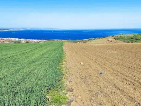 Tekirdag Barbarosta Luxury Villa Project Yap. Give A Flat To The Contractors And Make A High Profit Villa With Full Sea View Zoned Land