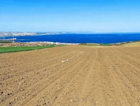 Tekirdag Barbarosta Luxury Villa Project Yap. Give A Flat To The Contractors And Make A High Profit Villa With Full Sea View Zoned Land