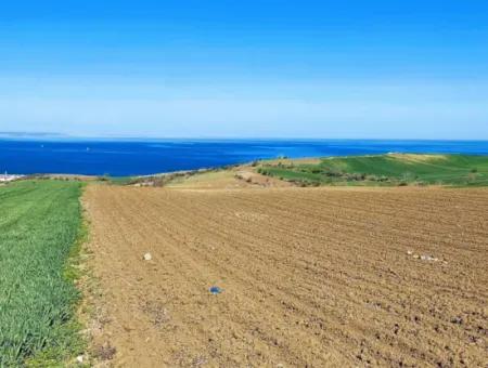 Tekirdag Barbarosta Luxury Villa Project Yap. Give A Flat To The Contractors And Make A High Profit Villa With Full Sea View Zoned Land