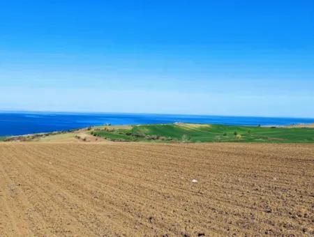 Tekirdag Barbarosta Luxury Villa Project Yap. Give A Flat To The Contractors And Make A High Profit Villa With Full Sea View Zoned Land