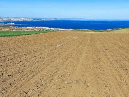 Tekirdag Barbarosta Luxury Villa Project Yap. Give A Flat To The Contractors And Make A High Profit Villa With Full Sea View Zoned Land