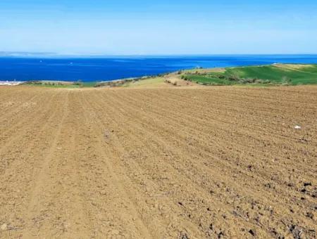 Tekirdag Barbarosta Luxury Villa Project Yap. Give A Flat To The Contractors And Make A High Profit Villa With Full Sea View Zoned Land