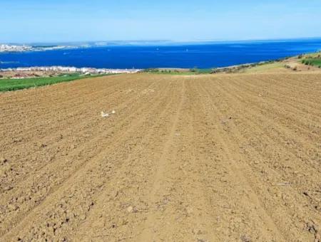 Tekirdag Barbarosta Luxury Villa Project Yap. Give A Flat To The Contractors And Make A High Profit Villa With Full Sea View Zoned Land