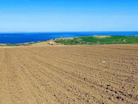 Tekirdag Barbarosta Luxury Villa Project Yap. Give A Flat To The Contractors And Make A High Profit Villa With Full Sea View Zoned Land