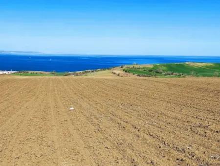 Tekirdag Barbarosta Luxury Villa Project Yap. Give A Flat To The Contractors And Make A High Profit Villa With Full Sea View Zoned Land