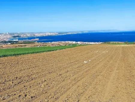 Tekirdag Barbarosta Luxury Villa Project Yap. Give A Flat To The Contractors And Make A High Profit Villa With Full Sea View Zoned Land