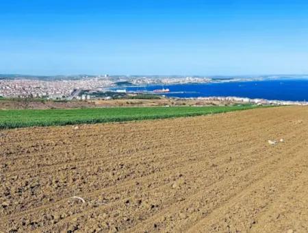 Tekirdag Barbarosta Luxury Villa Project Yap. Give A Flat To The Contractors And Make A High Profit Villa With Full Sea View Zoned Land