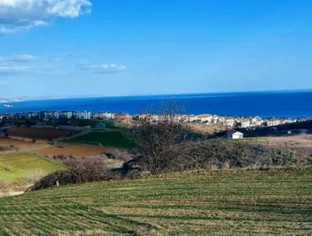 1,150 Sqm Plot Close To Ramada Hotel In Tekirdag Suleymanpasa Barbaros - Topagac