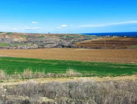 This Land In Tekirdağ Barbaros Is Included In The Current Zoning Plan Of Asyaport Port And Has A Potential For Commercial And Industrial Areas.