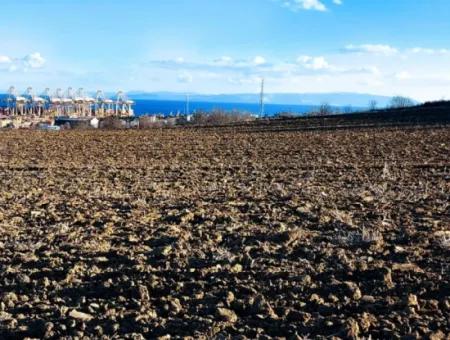 Unique 17.800 M2 Residential Zoned Land Located In Süleymanpaşa Barbaros Area Of Tekirdağ