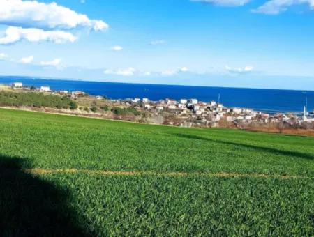 17 980 M2 Field For Sale Close To Tekirdag Barbaros Asyaport Port