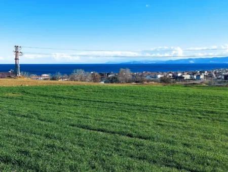 Located In Süleymanpaşa Barbaros, Tekirdag, This 11.100 M2 Residential Land Is Located In A Great Location.