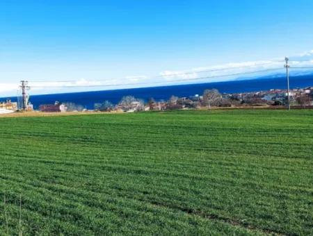 Located In Süleymanpaşa Barbaros, Tekirdag, This 11.100 M2 Residential Land Is Located In A Great Location.