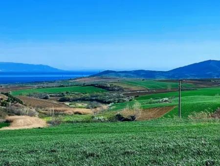 Land For Sale In 19,500 Square Meters Of Commercial And Industrial Area In Nusuratlı Area Of Tekirdağ