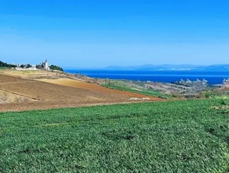 Land For Sale In 19,500 Square Meters Of Commercial And Industrial Area In Nusuratlı Area Of Tekirdağ