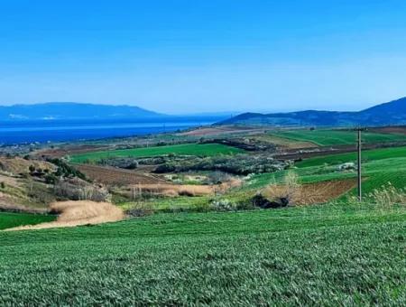 Land For Sale In 19,500 Square Meters Of Commercial And Industrial Area In Nusuratlı Area Of Tekirdağ