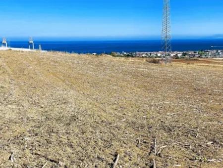 The 21,900 M2 Plot Located In Tekirdağ Barbaros Is Located Within The Current Zoning Plan Of Asyaport Port