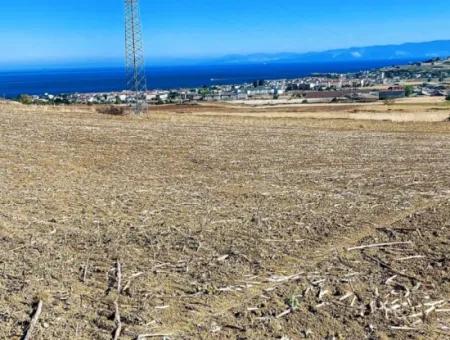 The 21,900 M2 Plot Located In Tekirdağ Barbaros Is Located Within The Current Zoning Plan Of Asyaport Port