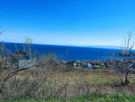 Amazing Investment Opportunity For 6 Villas With Sea View In Tekirdag Süleymanpaşa Barbarossa!