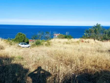 590 M2 Plot Of Land With Full Sea View In Tekirdag Barbarossa, Suitable For 3 Villas!