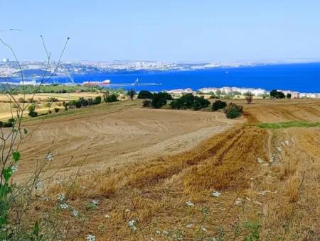 34 Acres Of Villa Zoned Investment Opportunity With Full Sea And Nature View In Tekirdağ Barbaros!