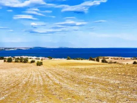 34 Acres Of Villa Zoned Investment Opportunity With Full Sea And Nature View In Tekirdağ Barbaros!