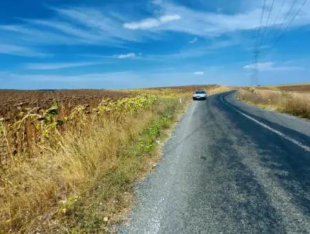 10.500 M2 Investment Field With The Advantage Of Open Road In Summer And Winter In Tekirdağ Çanakçı District! Great Opportunity For Family Picnic, Viticulture And Hobby Garden