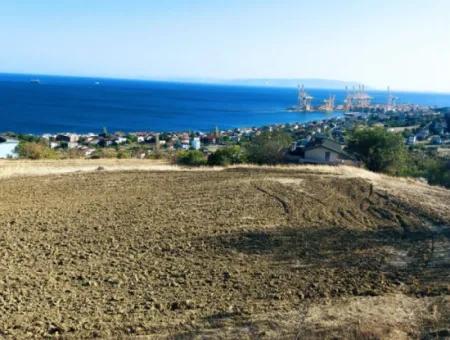 16.850 M2 Sea And Nature View Cooperative And Site Zoned Investment Land In Tekirdağ Barbaros!