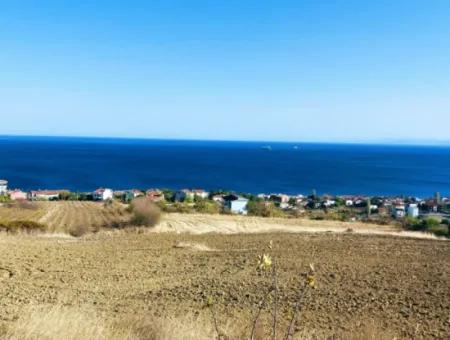 16.850 M2 Sea And Nature View Cooperative And Site Zoned Investment Land In Tekirdağ Barbaros!