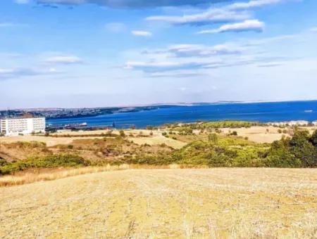 Tekirdağ Barbarosta, 15.500 M2 Full Sea And Nature View Villa Zoned Investment Land!