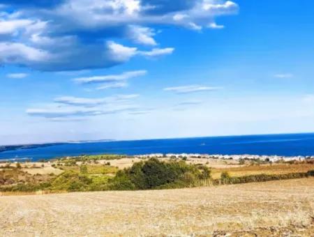 Tekirdağ Barbarosta, 15.500 M2 Full Sea And Nature View Villa Zoned Investment Land!