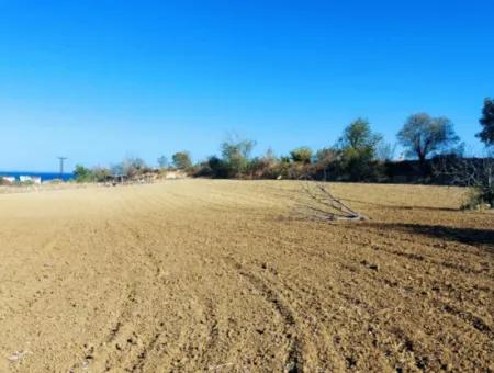 Investment Opportunity: 615 M2 Corner Land For Sale In Tekirdag Barbaros - Urgent Sale, Sea And Nature View, 0 Zoned