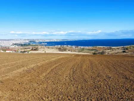 6.500 M2 Villa Zoned Field For Emergency Sale In Tekirdağ Barbaros Neighborhood