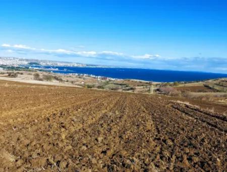 6.500 M2 Villa Zoned Field For Emergency Sale In Tekirdağ Barbaros Neighborhood