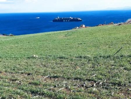 465 M2 Sea View Land Ideal For Investors And Homeowners In Barbaros, Tekirdag