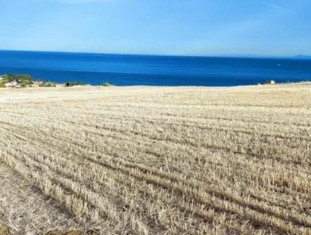 Full Sea And Nature View Land For Emergency Sale In Barbaros, Tekirdag