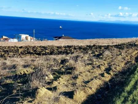 720 M2 Bargain Corner Plot With Full Sea View Suitable For Building A Detached House With Pool For Emergency Sale In Tekirdag Barbarosta