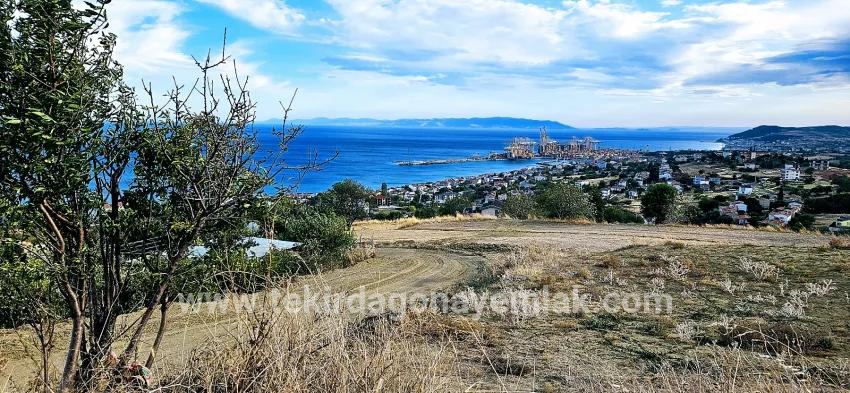 Для продажи Сюжет в Barbaros Süleymanpaşa Kumbağ - Под Жилье застройку - 528 m²