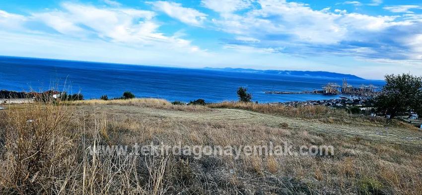 Для продажи Сюжет в Barbaros Süleymanpaşa Kumbağ - Под Жилье застройку - 528 m²