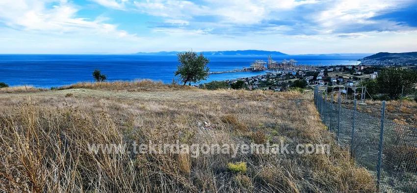 Для продажи Сюжет в Barbaros Süleymanpaşa Kumbağ - Под Жилье застройку - 528 m²