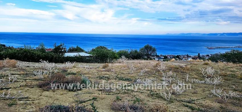 Для продажи Сюжет в Barbaros Süleymanpaşa Kumbağ - Под Жилье застройку - 528 m²