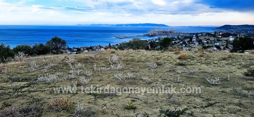 Для продажи Сюжет в Barbaros Süleymanpaşa Kumbağ - Под Жилье застройку - 528 m²