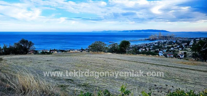 Для продажи Сюжет в Barbaros Süleymanpaşa Kumbağ - Под Жилье застройку - 528 m²