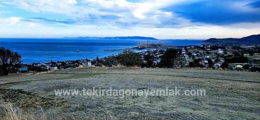 Для продажи Сюжет в Barbaros Süleymanpaşa Kumbağ - Под Жилье застройку - 528 m²