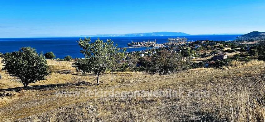 Для продажи Сюжет в Barbaros Süleymanpaşa Kumbağ - Под Жилье застройку - 530 m²