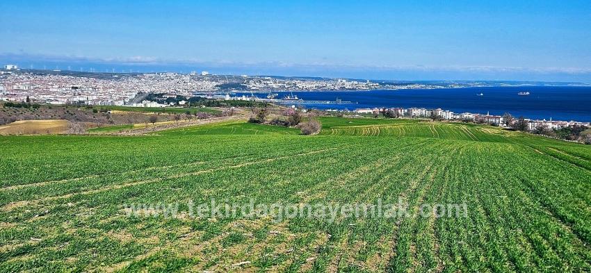 Для продажи Земля в Barbaros Süleymanpaşa Kumbağ - Под Жилье застройку - 19.533 m²
