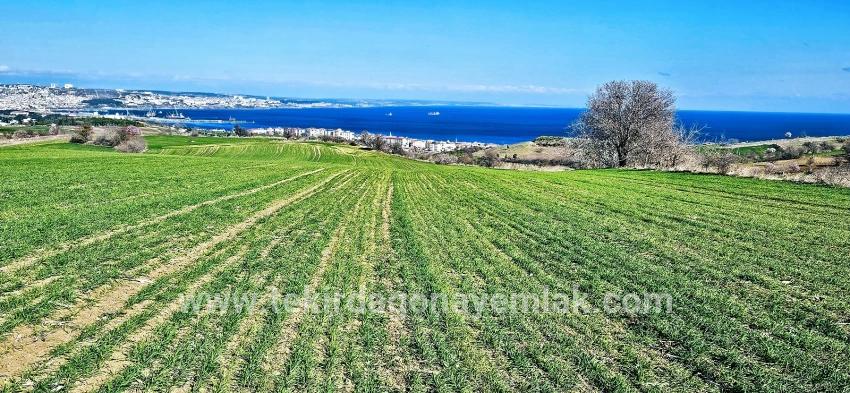Для продажи Земля в Barbaros Süleymanpaşa Kumbağ - Под Жилье застройку - 19.533 m²