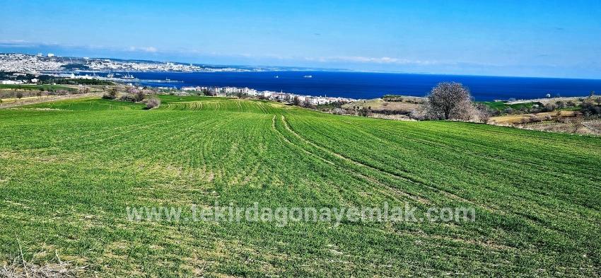 Для продажи Земля в Barbaros Süleymanpaşa Kumbağ - Под Жилье застройку - 19.533 m²