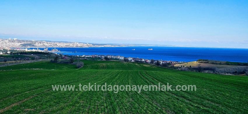 Для продажи Земля в Barbaros Süleymanpaşa Kumbağ - Под Жилье застройку - 19.533 m²