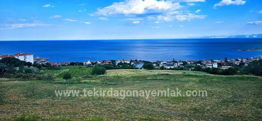 Для продажи Земля в Barbaros Süleymanpaşa Kumbağ - Под Жилье застройку - 6.100 m²